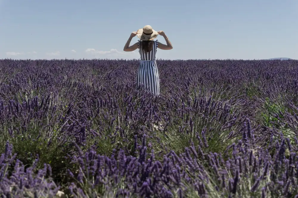 Poznávací Zájezd Provence Letecky